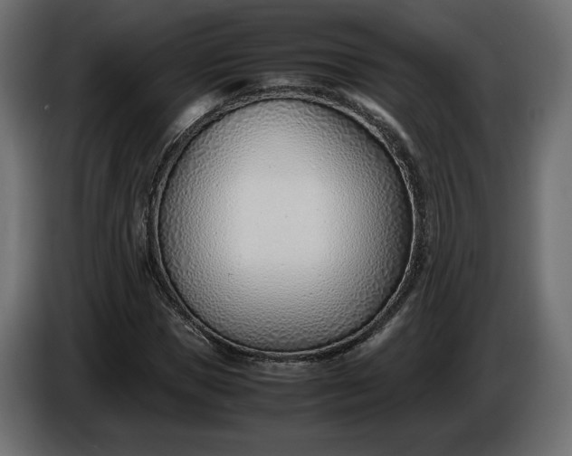 X0000086310921200704131628