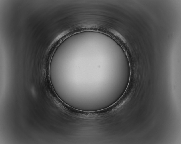 X0000086310922200704131628