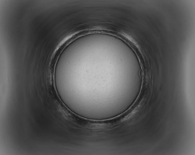 X0000086310925200704131628