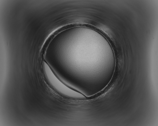 X0000086310926200704131628