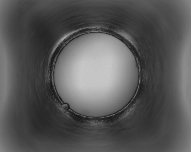 X0000086310927200704131628