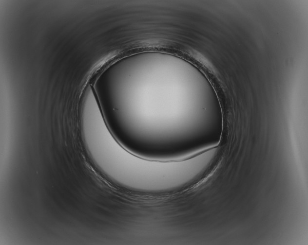 X0000086310930200704131628