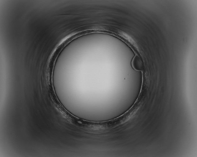 X0000086310931200704131628