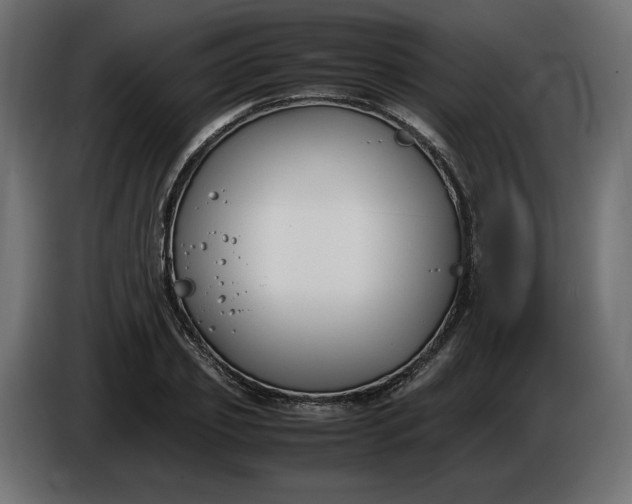 X0000086310933200704131628