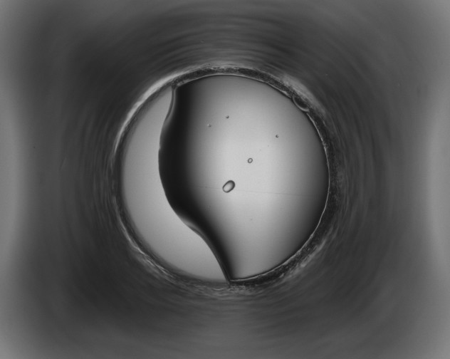 X0000086310934200704131628