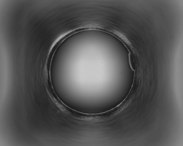 X0000086310936200704131628