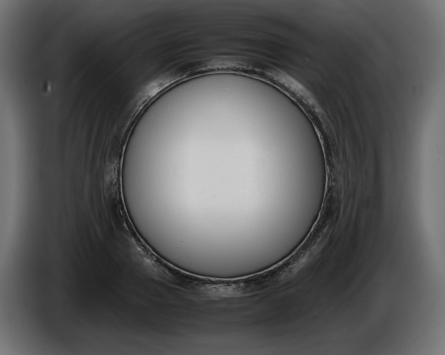 X0000086310937200704131628