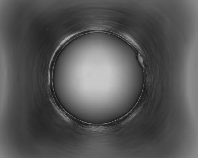 X0000086310940200704131628
