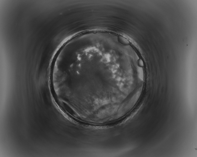X0000086310941200704131628