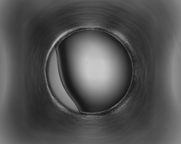 X0000086310942200704131628