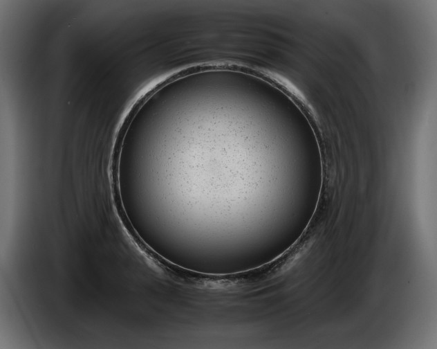 X0000086310943200704131628