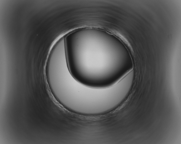 X0000086310944200704131628