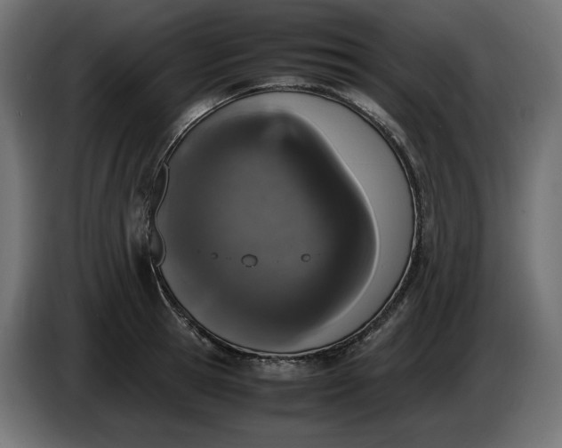 X0000086310945200704131628