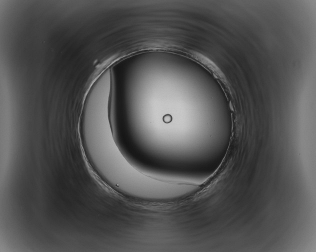 X0000086310946200704131628