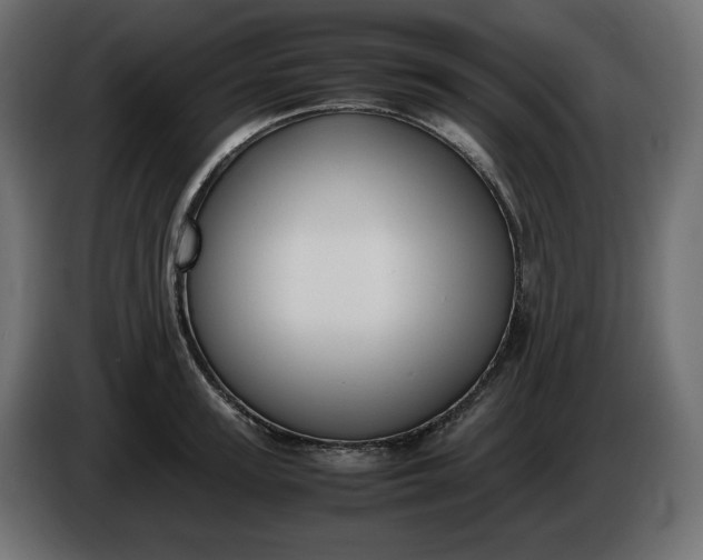 X0000086310947200704131628