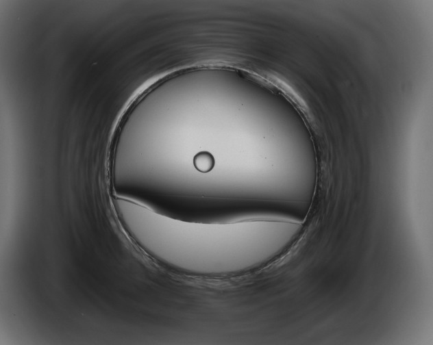 X0000086310948200704131628
