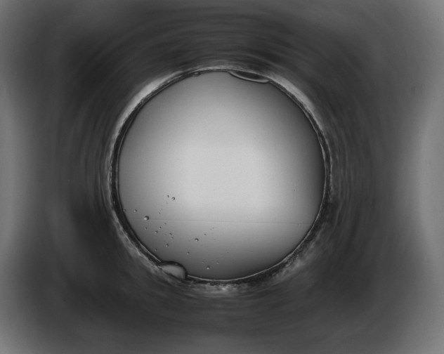 X0000086310949200704131628