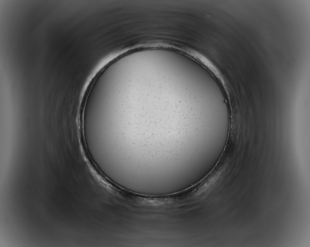 X0000086310951200704131628