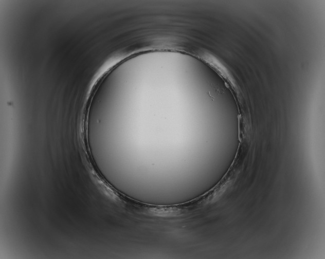 X0000086310952200704131628