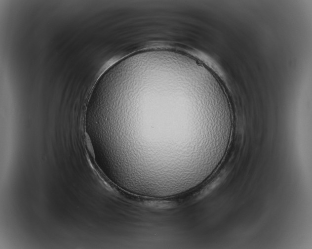 X0000086310953200704131628