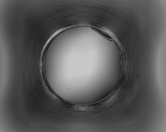 X0000086310955200704131628