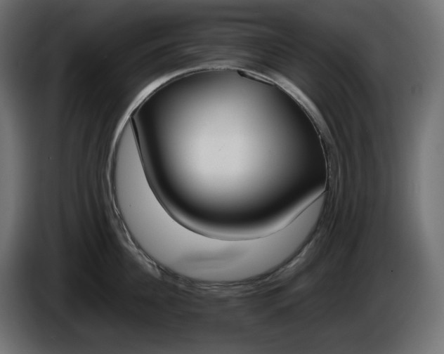 X0000086310956200704131628