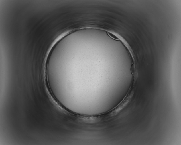 X0000086310957200704131628