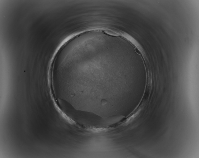 X0000086310958200704131628