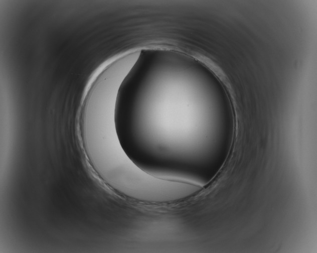X0000086310960200704131628