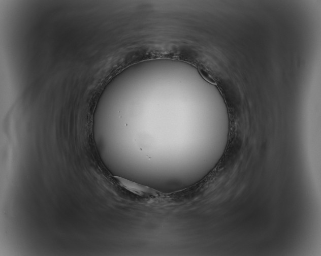 X0000086310961200704131628