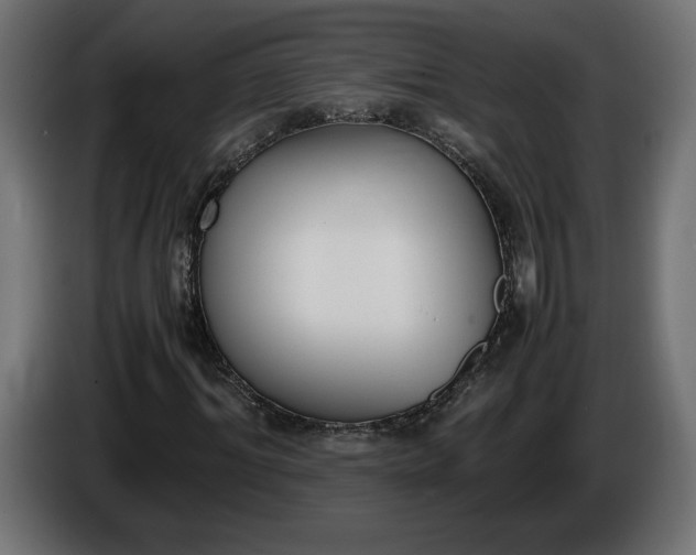 X0000086310964200704131628