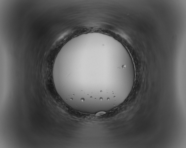 X0000086310967200704131628