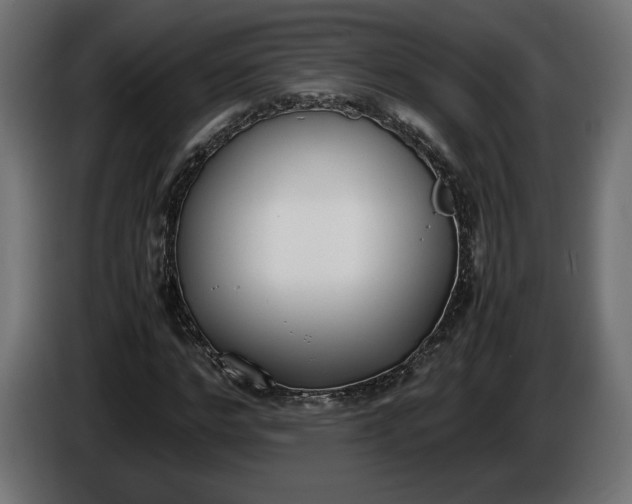 X0000086310968200704131628