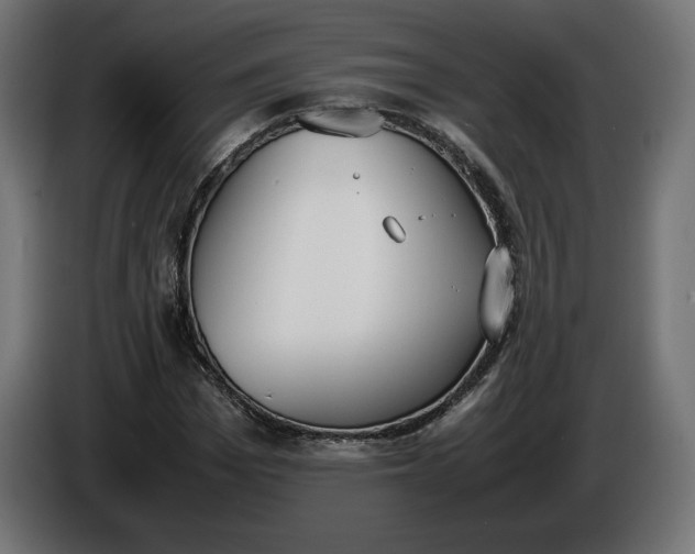 X0000086310969200704131628