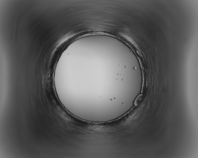 X0000086310971200704131628