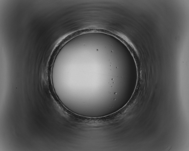X0000086310972200704131628