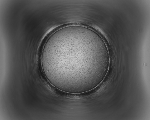 X0000086310975200704131628