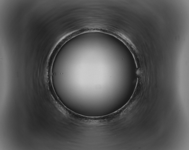 X0000086310976200704131627
