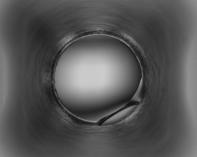 X0000086310977200704131627