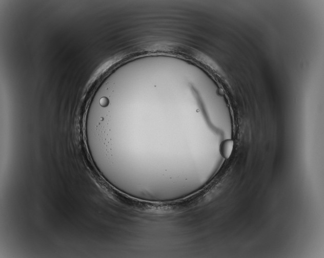 X0000086310978200704131627