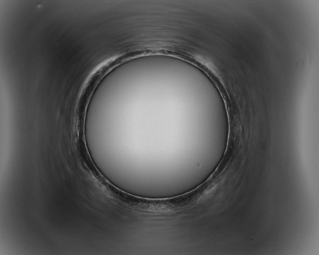 X0000086310979200704131627