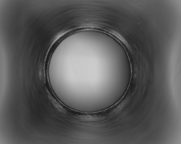 X0000086310980200704131627