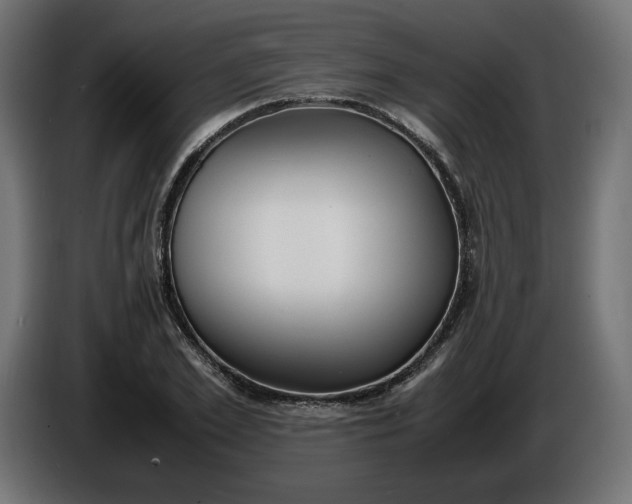 X0000086310981200704131627