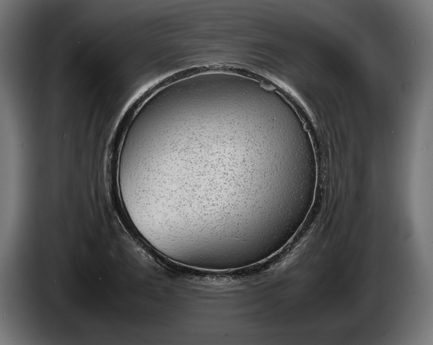 X0000086310983200704131627