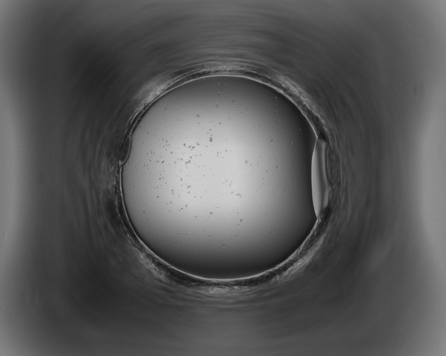 X0000086310985200704131627