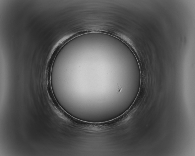 X0000086310987200704131627