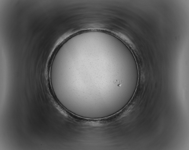 X0000086310990200704131627