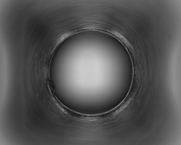 X0000086310993200704131627