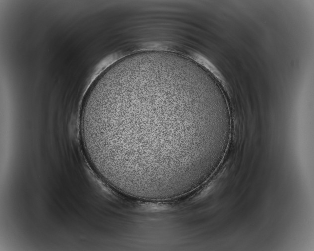 X0000086310994200704131627