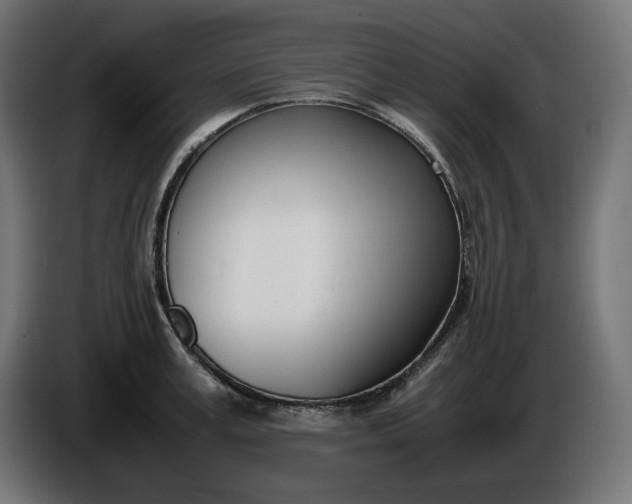 X0000086310995200704131627